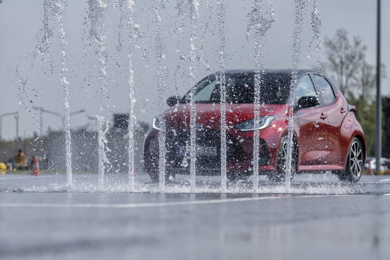 szkolenie wlasny instruktor