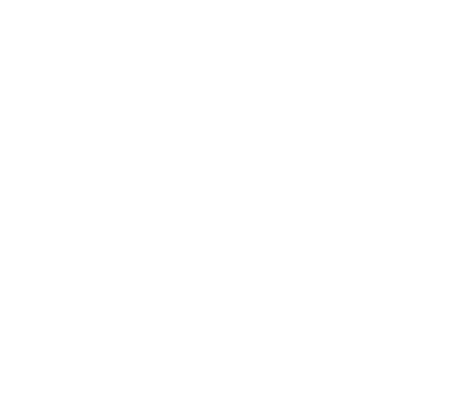 Logo Tor Modlin